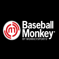 Baseball Monkey