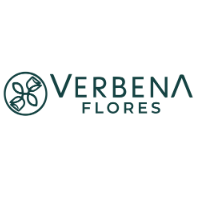 Verbena Flores MX
